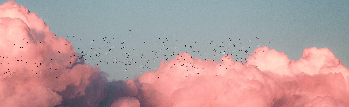 ส่วนบนสุดของเว็บไซต์